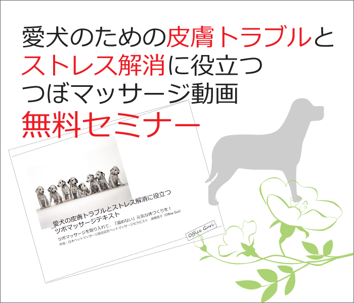 愛犬のための皮膚トラブルとストレス解消に役立つ つぼマッサージ 動画セミナー